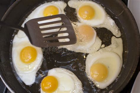 Six Fried Eggs In A Pan With Oil For Breakfast Stock Image Image Of Nutritious Proteins