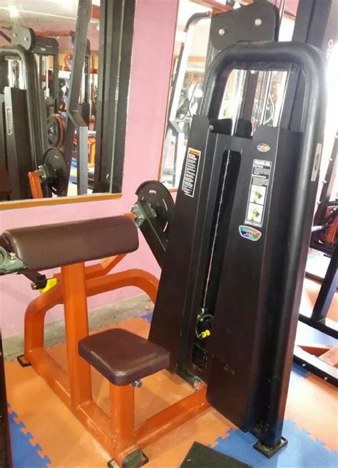 Bicep Curl Machine For Gym At In New Delhi Id