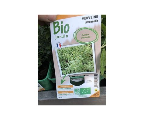 Verveine Citronnelle Bio Pot Litre