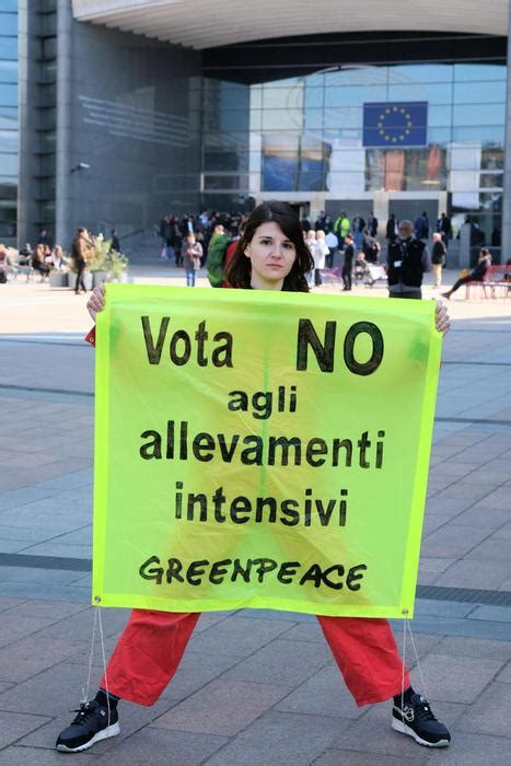 Proposta Una Legge Contro Gli Allevamenti Intensivi In Quali