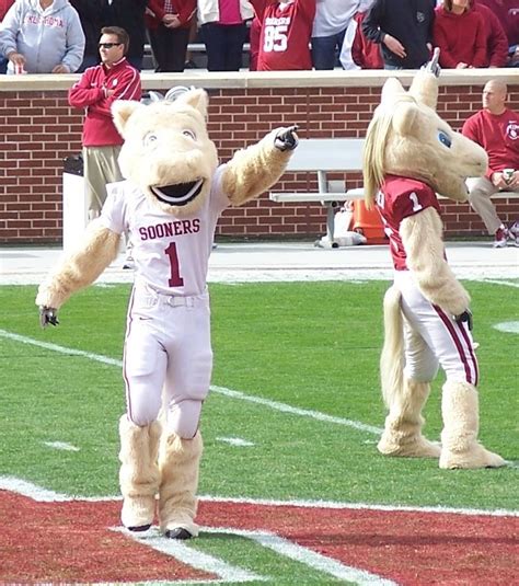 Sooner And Boomer As They Appear Today Cheering On The Oklahoma Sooners Sooners Oklahoma