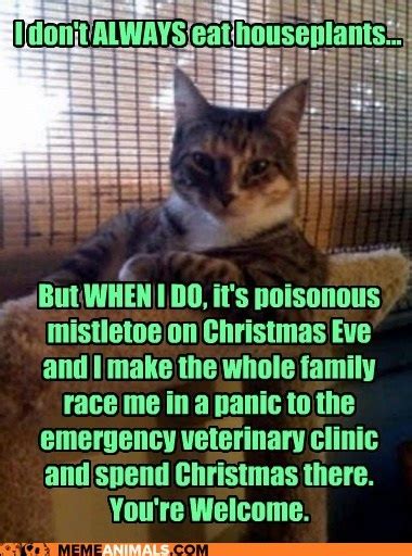 Pin By Thaddeus Howze On Humor Veterinary Humor Funny Cat Pictures