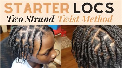 Starter Locs Two Strand Twists