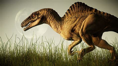 Carnoraptor And Spinoraptor Hd Wallpaper Pxfuel