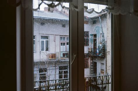 Zim Wystawiasz Garnek Z Roso Em Na Balkon To Ulubiony B D Polak W