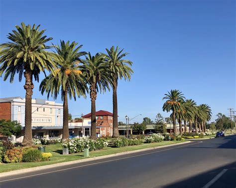 Junee The Railway Town Lets Go Caravan And Camping