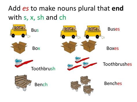 Nouns Ending In Sh