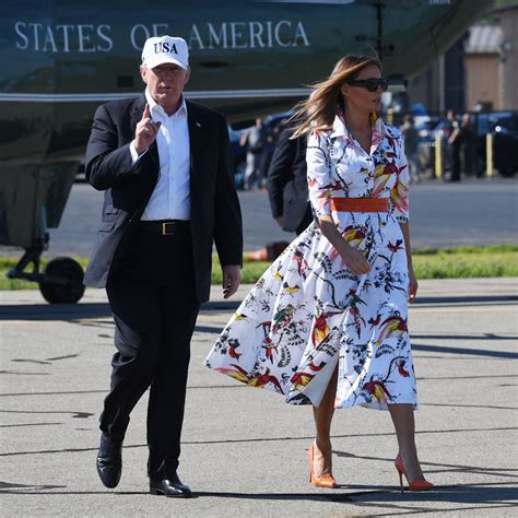 Aggregate More Than 247 Melania Trump Dress Latest Nanoginkgobilobavn