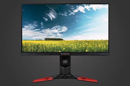 16 Best Budget Monitors in 2023