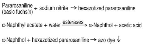 Enzyme Histochemistry Techniques Flashcards | Quizlet