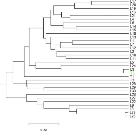 Dendrogram Of 30 Striga Resistant Maize Inbred Lines Based On Rogers