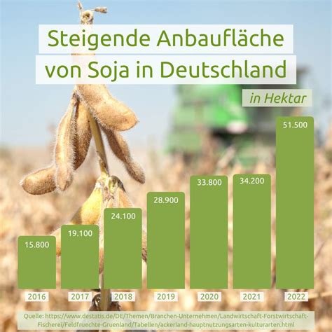 Zahlen Und Fakten Zu Soja Heimische Landwirtschaft