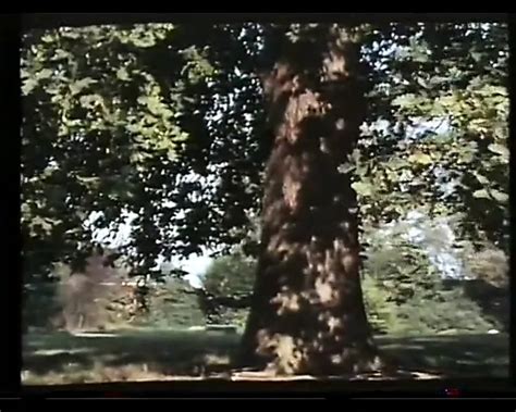 La Cage Aux Partouzes Free La Xxx Free Porn Video B XHamster