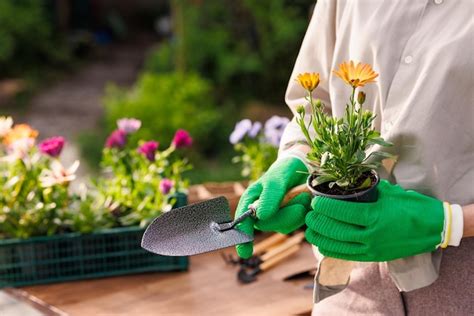 Premium Photo | Gardener plants flowers in the garden closeup garden ...