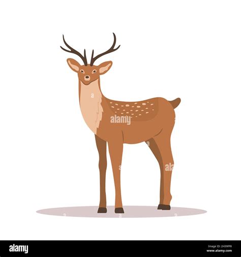 Cute noble sika deer. Reindeer with antlers on white background ...