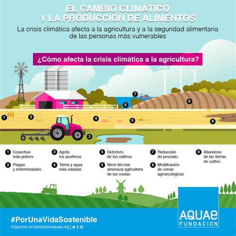 Cambio Climático Impacto Y Consecuencias En La Producción De Alimentos