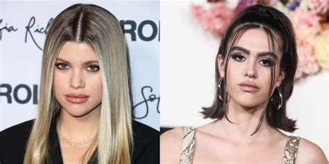 Sofia Richie Unfollows Amelia Hamlin Amid Scott Disick Romance