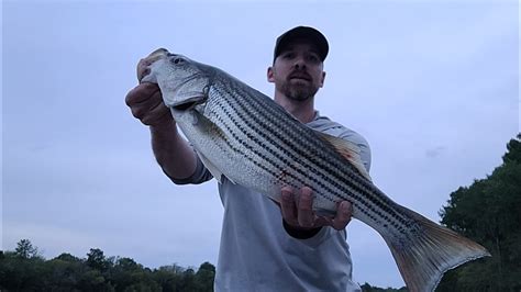 Catfish And Striper Fishing On Santee Cooper Santee Cooper Rig