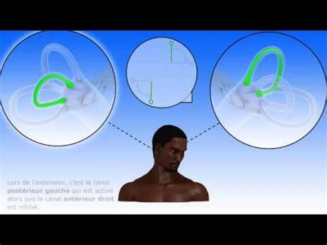 SDP Troubles Neurovisuels Et Dys Proprioception Posture