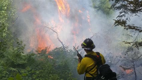 Lightning Strike Sparks Wildfire Near Brandy Pond Wgme