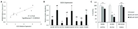 SCD1 Protein Expression Correlates With MSMO1 Abundance And Improved