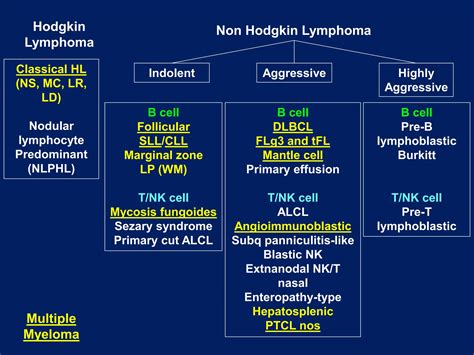how to test for lymphoma 9