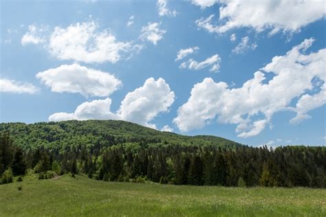 Hermosos paisajes de las montañas de los cárpatos ucranianos Foto Premium