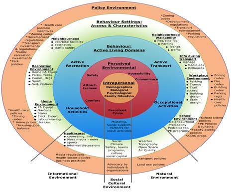 The Environment And Physical Activity The Free Obesity EBook