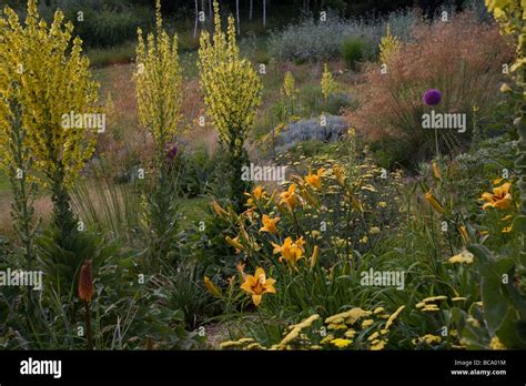 Grasses And Perennials Immagini E Fotografie Stock Ad Alta Risoluzione