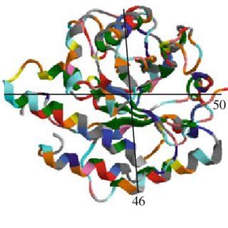 Cellulase structure from RCSB protein data base | Download Scientific ...