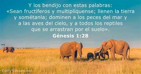 Génesis 128 Versículo De La Biblia