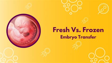 Fresh Vs Frozen Embryo Transfer