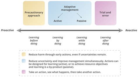 Proactive And Reactive Approaches To Environmental Decision Making