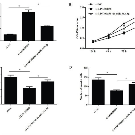 Inhibition Of Mir P Reversed The Inhibitory Effects Of