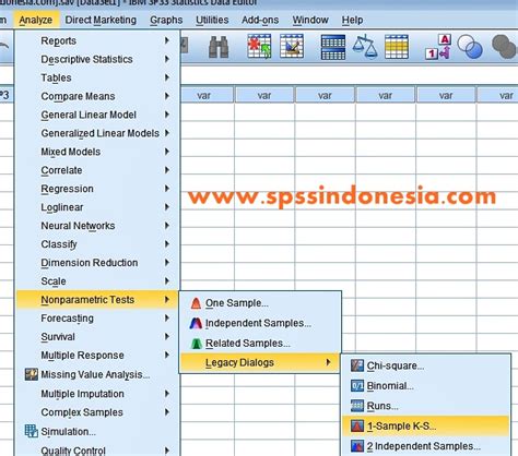 Cara Melakukan Uji Normalitas Dalam Analisis Faktor Dengan Spss Spss