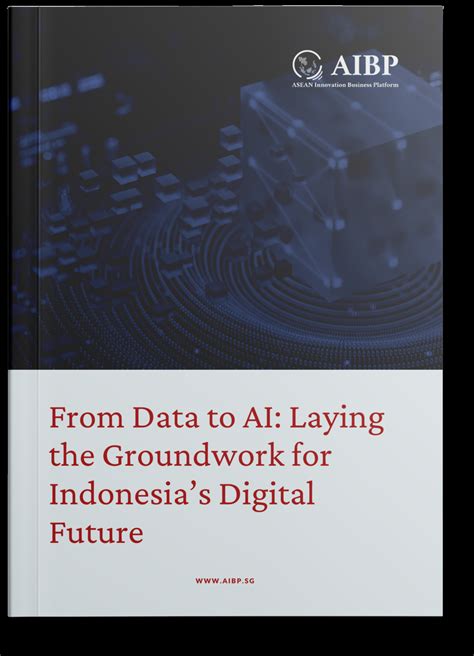 AIBP Report : Laying the Groundwork for Indonesia’s Digital Future