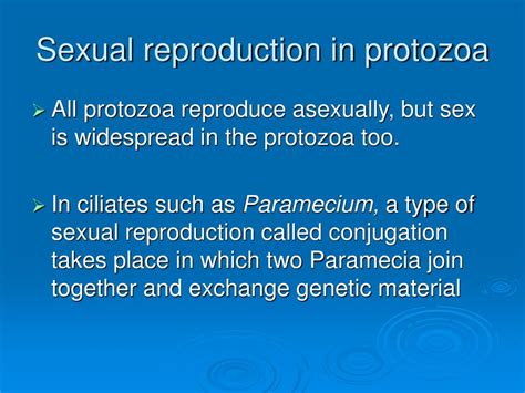 Ppt Protozoans Powerpoint Presentation Id294982