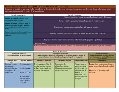 Historia Natural De La Gastritis Historia Natural De Gastritis