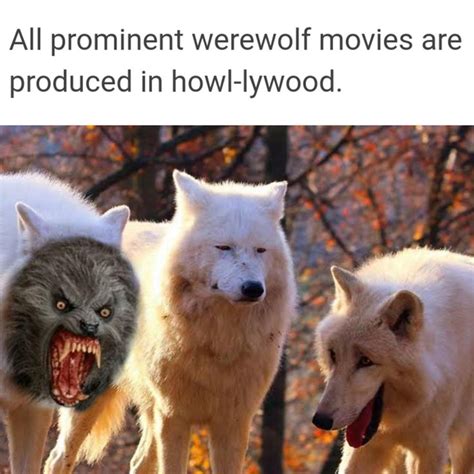 Werewolf Meme Discover more interesting Dog, Happy, Scary, Werewolf ...