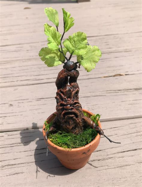 Small Mandrake H Potter Plant Decor - Etsy | Harry potter plants, Harry ...