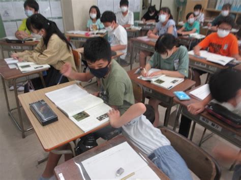 6年生 国語 森へ 川口市立安行小学校