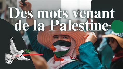 Des Mots Venant De La Palestine Youtube