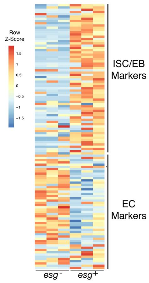 Figures And Data In Probe Seq Enables Transcriptional Profiling Of