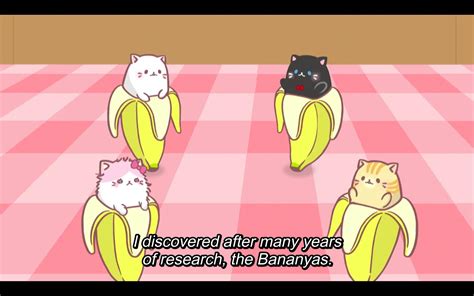 Bananya 2016