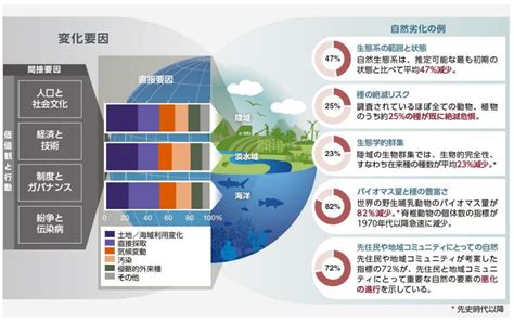 なぜ今“生物多様性”が重要なのか 企業が取り組めることとは？