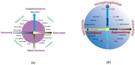 Brain Sciences Free Full Text Anxious Personality Traits Perspectives From Basic Emotions