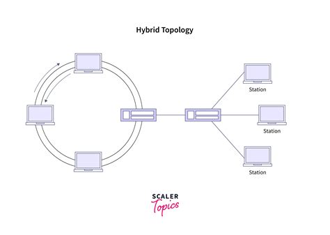 Types Of Network Topologies Scaler Topics