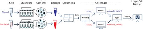 Analyze Scrna Seq Data From A Publication Using X Software Software