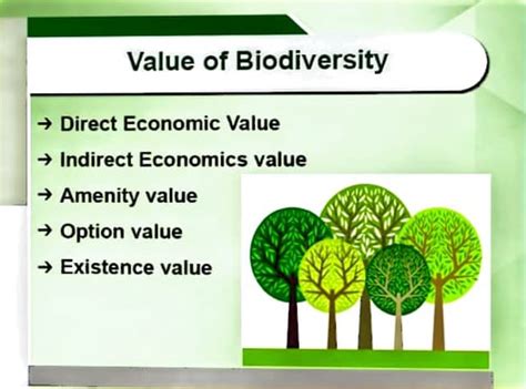 Biodiversity S Direct And Indirect Economic Values Ppt