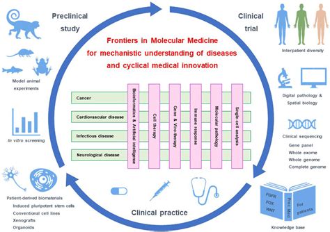 Frontiers Grand Challenges In Molecular Medicine For Disease